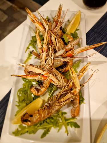 Comentarii opinii despre Ivo