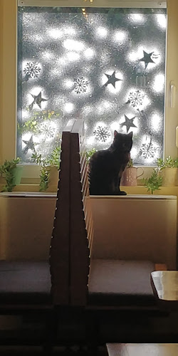 Koturaška ul. 3, 10000, Zagreb