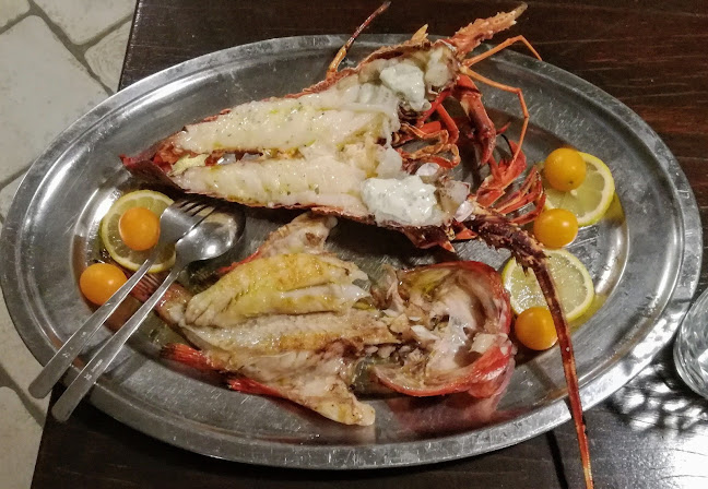 Broce 11, 20230, Broce