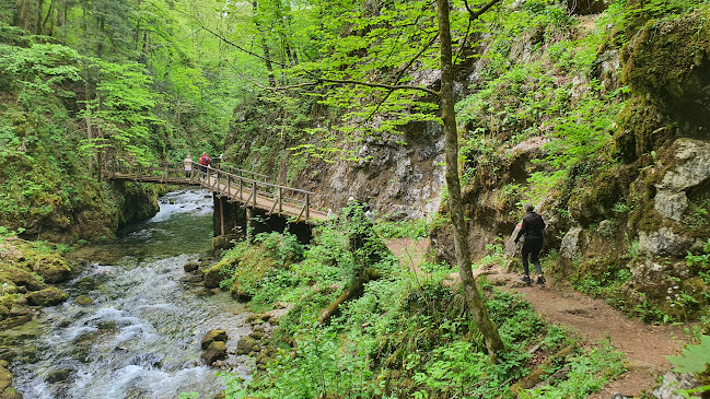 Comentarii opinii despre Restoran Kamačnik