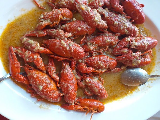 Restoran Premijer Gaz - Gastronomija i ugostiteljstvo