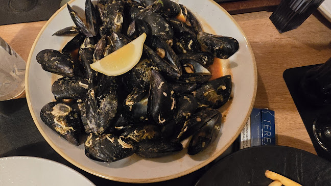 Comentarii opinii despre Matteo