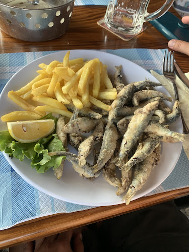 22202, Primošten Burnji