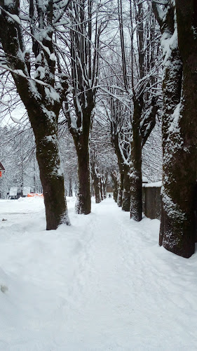 Supilova ul. 4-24, 51300, Delnice