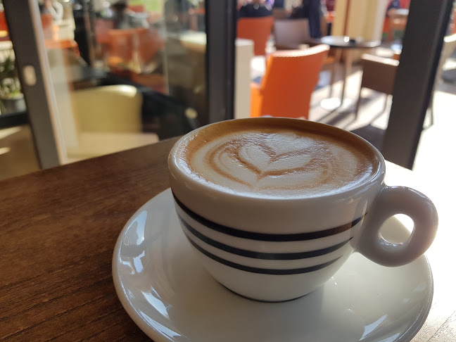 Dubrava 49, 10040, Zagreb