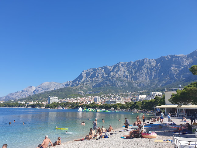 Comentarii opinii despre Makarana