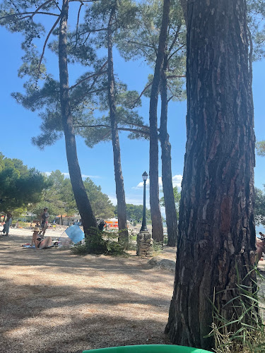 Comentarii opinii despre Beach bar Plav