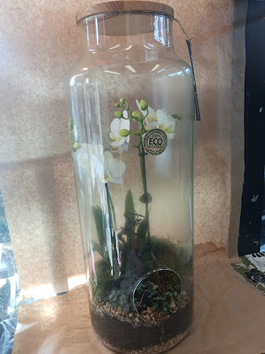 Opinii despre Cvjećarnica Tuberoza în Zagreb - Gastronomija i ugostiteljstvo