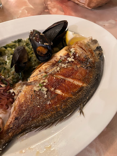 E65 18, 51250, Novi Vinodolski