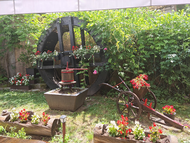 Comentarii opinii despre Izletište Dumić