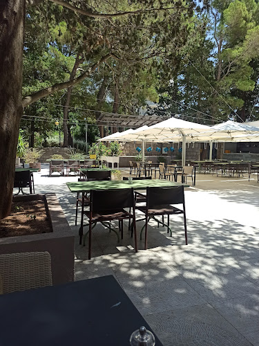 Beach bar "Pink Cricket"