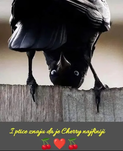 Opinii despre Cherry Tree (Fantasy&Beer Pub) în Zagreb - Gastronomija i ugostiteljstvo