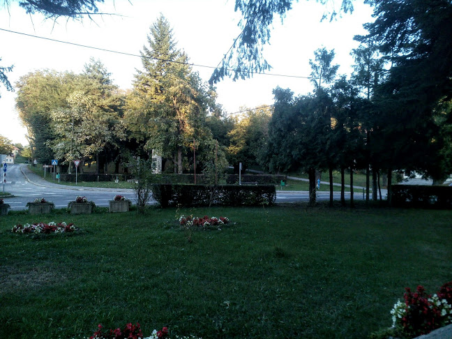 Trgovišće 23, 49283, Trgovišće