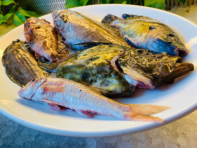 Konoba Bukara - Gastronomija i ugostiteljstvo