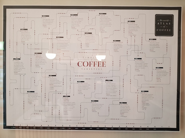 Cogito Coffee Shop / Dubrovnik Old Town - Gastronomija i ugostiteljstvo