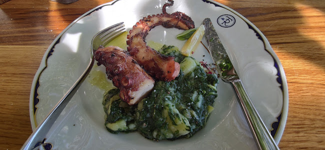 Ul. Radića Frane 5, 21420, Bol