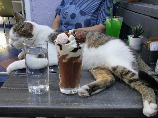 Ul. Dragojla Kušlana 6, 10000, Zagreb