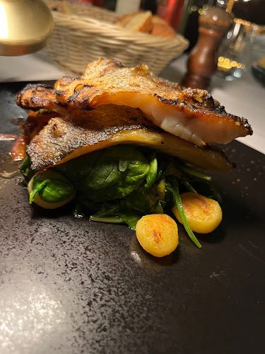 Restoran Adriatic - Gastronomija i ugostiteljstvo