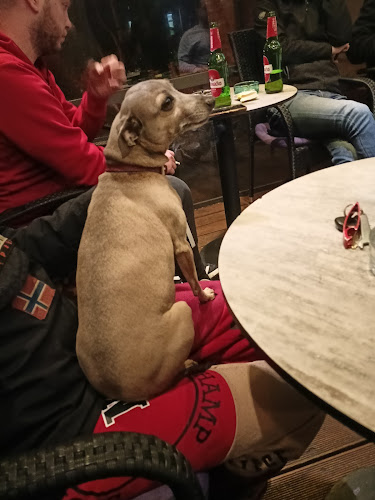 Caffe bar Baloo - Rijeka