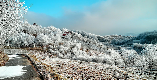 Slani Dol 4, 10430, Samobor