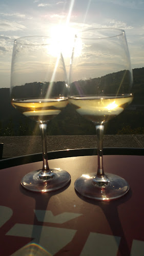 Comentarii opinii despre Konoba Oprtalj