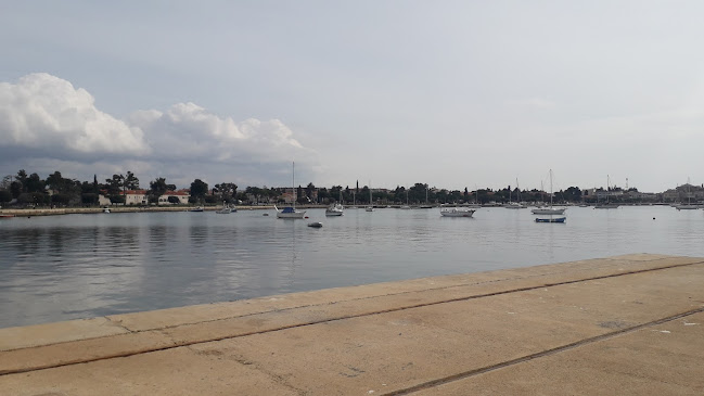 Comentarii opinii despre Stacion