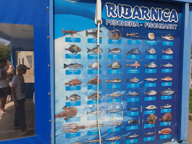 Ribarnica Tar - Gastronomija i ugostiteljstvo