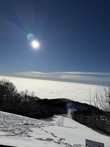Prodin Dol 72, 10453, Gorica Svetojanska