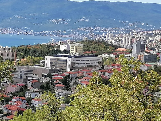 Comentarii opinii despre Galileo bar