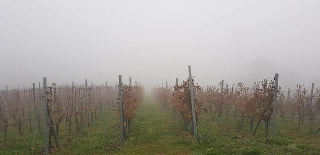 Stankovo 80, 10450, Stankovo