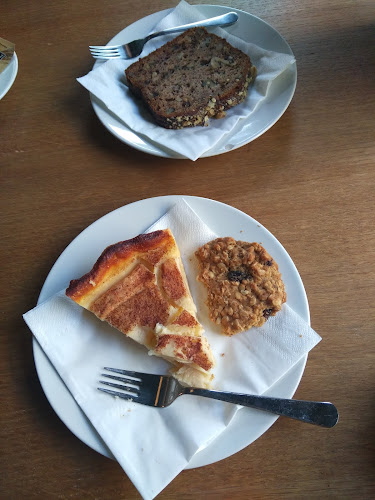 Comentarii opinii despre Korica