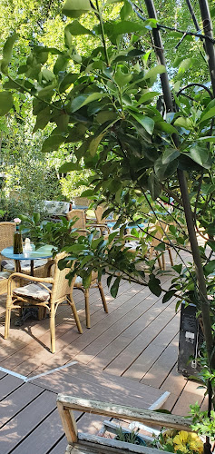 Caffe bar Friends Trezor