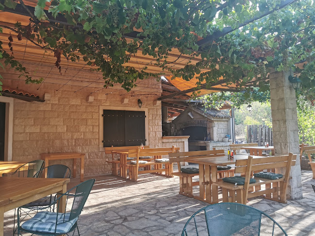 Comentarii opinii despre Nauta