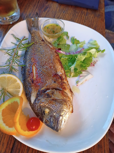 Comentarii opinii despre Reflektor - Murter