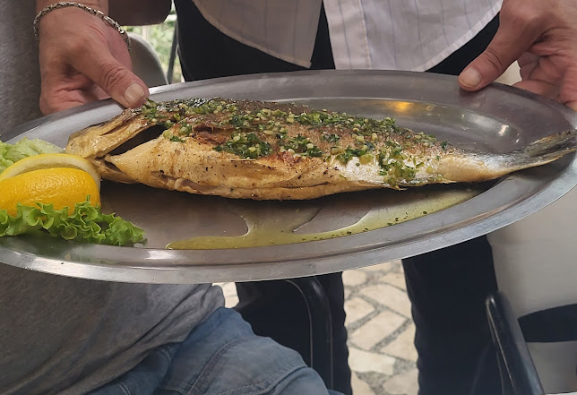 Comentarii opinii despre Restaurant Placa