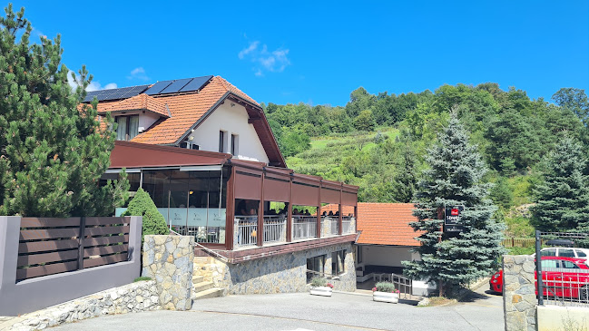 Villa Vladimir - Gastronomija i ugostiteljstvo