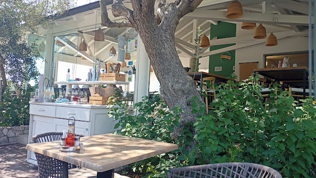 Olíva Restaurant - Gastronomija i ugostiteljstvo