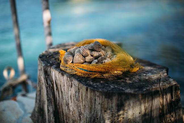 Opinii despre Luka's Taverna Kobaš în Ston - Gastronomija i ugostiteljstvo