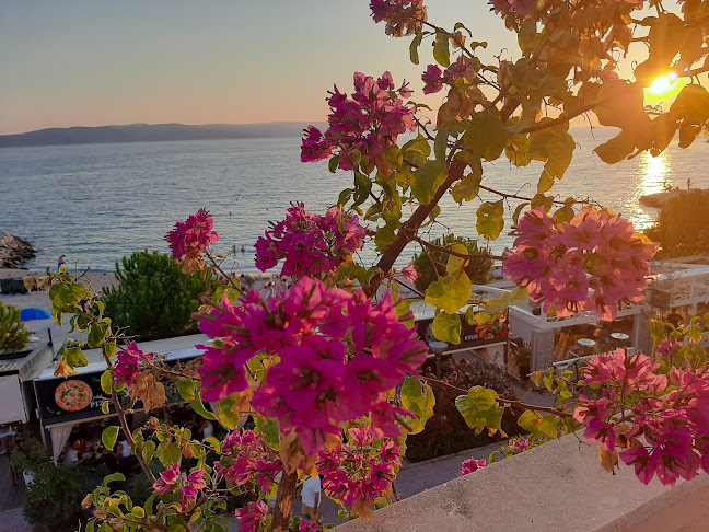 Caffe Bar Petica - Zagreb