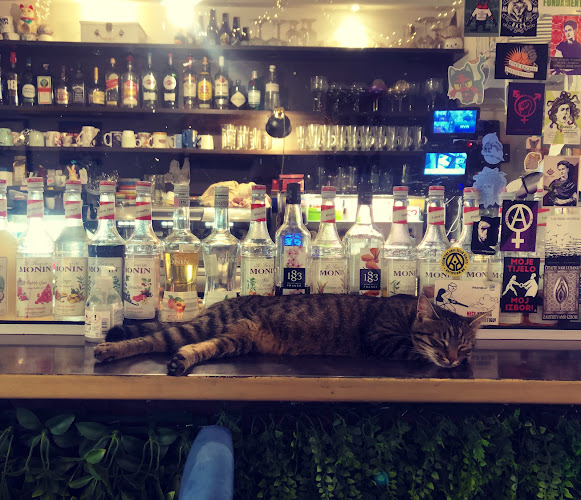 Cat Caffe Zagreb - Gastronomija i ugostiteljstvo