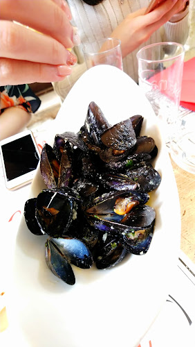 Comentarii opinii despre Segutra