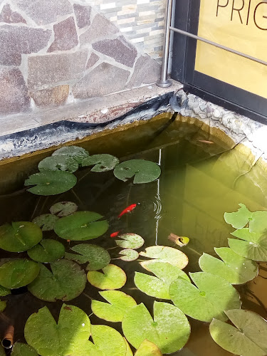 Opinii despre Movie Caffe Bar în Sesvete - Gastronomija i ugostiteljstvo