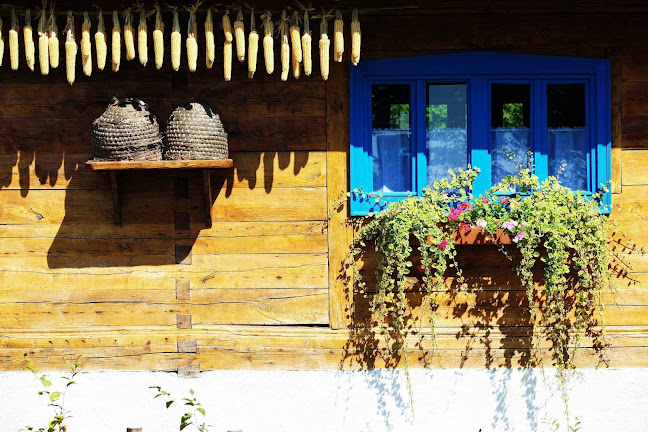 Opinii despre Seosko imanje Stari Dud / Old Mulberry Country Estate and Farm în Vrginmost - Gastronomija i ugostiteljstvo