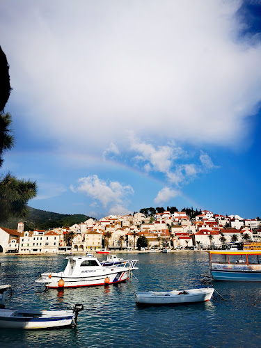 Comentarii opinii despre Dva ribara