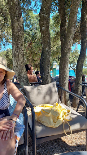 Blue bar garden - Gastronomija i ugostiteljstvo