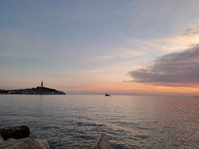 Comentarii opinii despre Volley Ferata