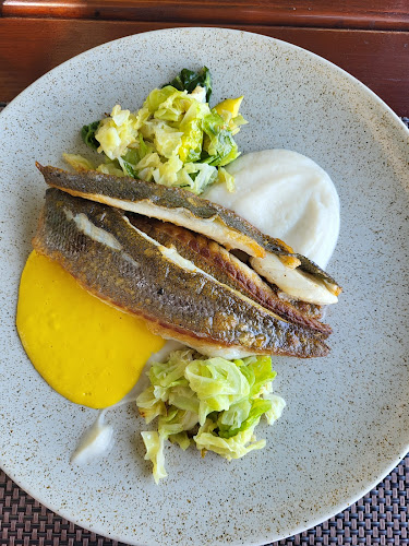 Comentarii opinii despre Konoba Melaina