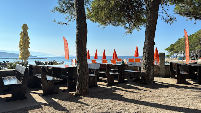 Beach bar Plav - Gastronomija i ugostiteljstvo