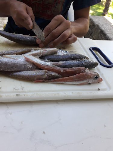 Ribarnica Rab - Palit