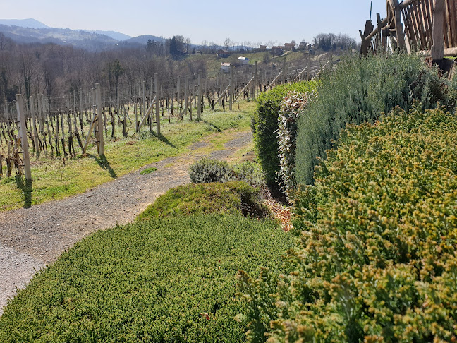 Grofovska Klet - Gastronomija i ugostiteljstvo